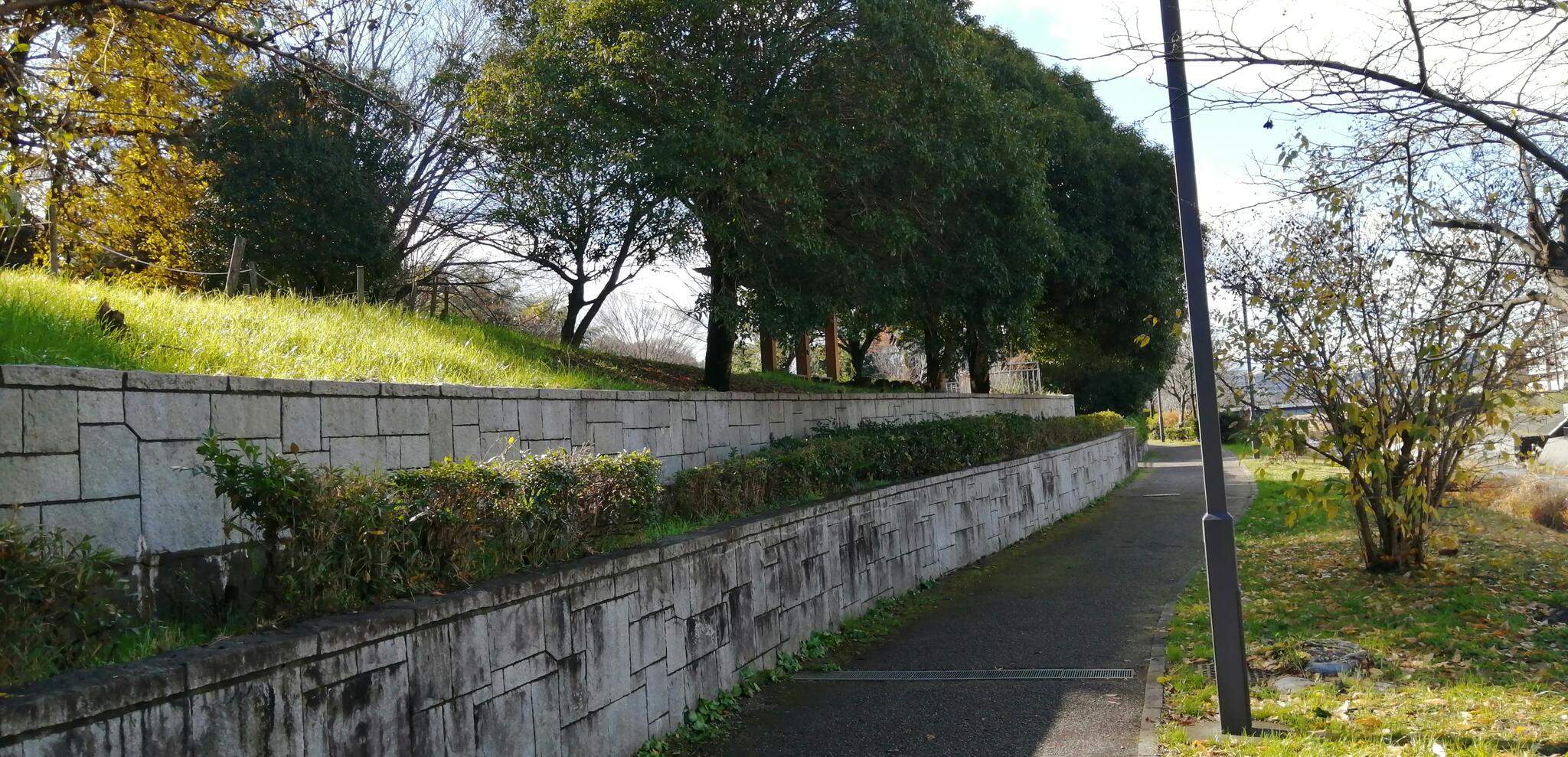 堀之内番場公園の代表写真2