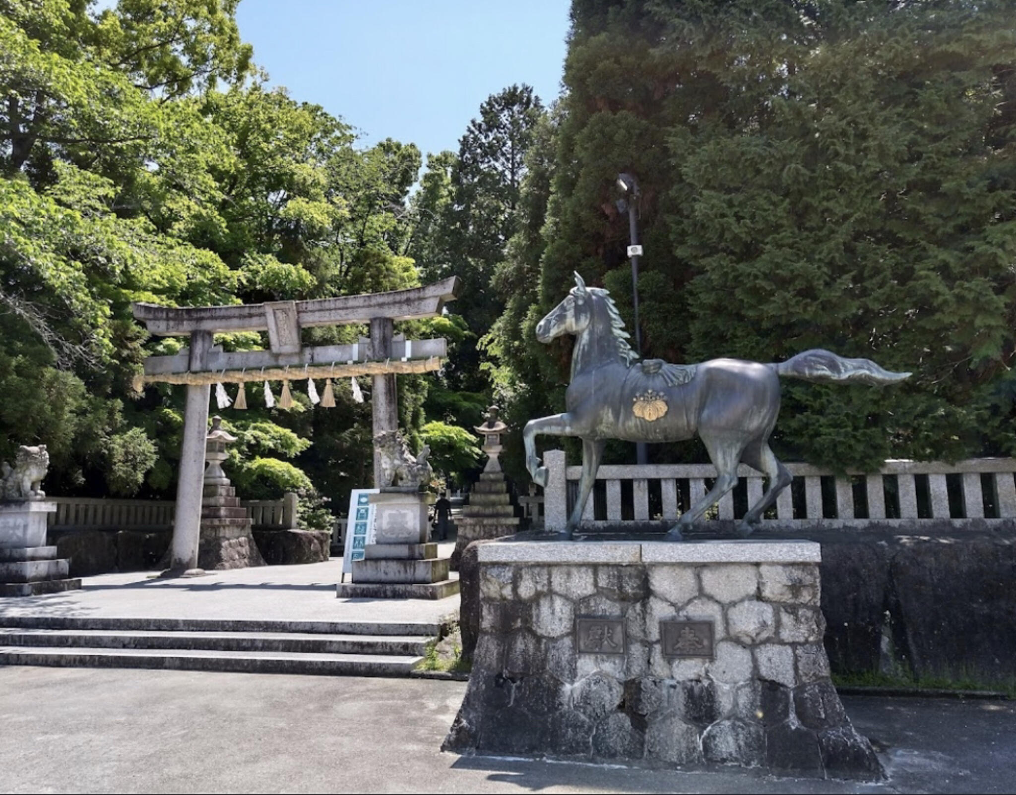 針名神社の代表写真2