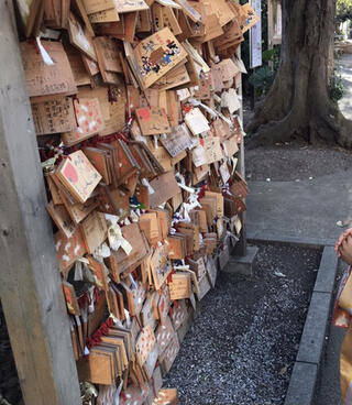 氷川鍬神社のクチコミ写真1