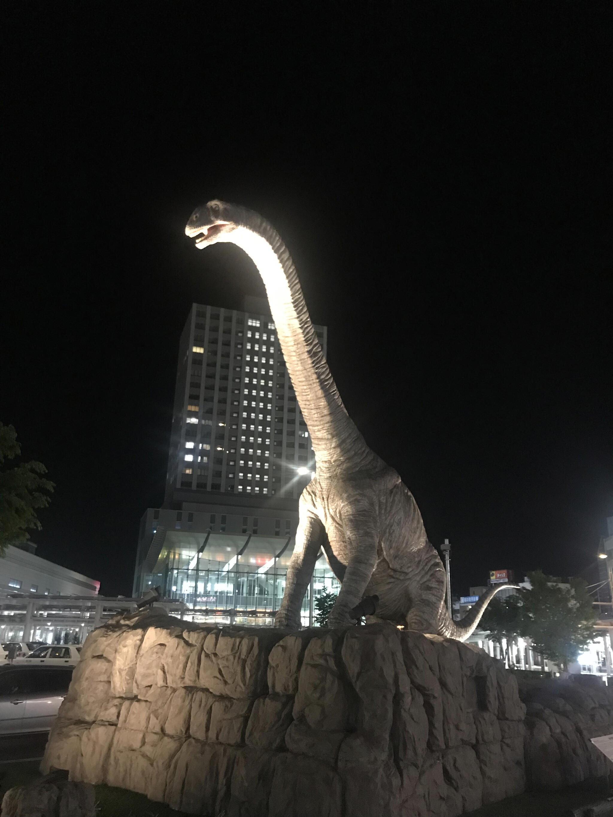 福井駅(福井県)の代表写真10