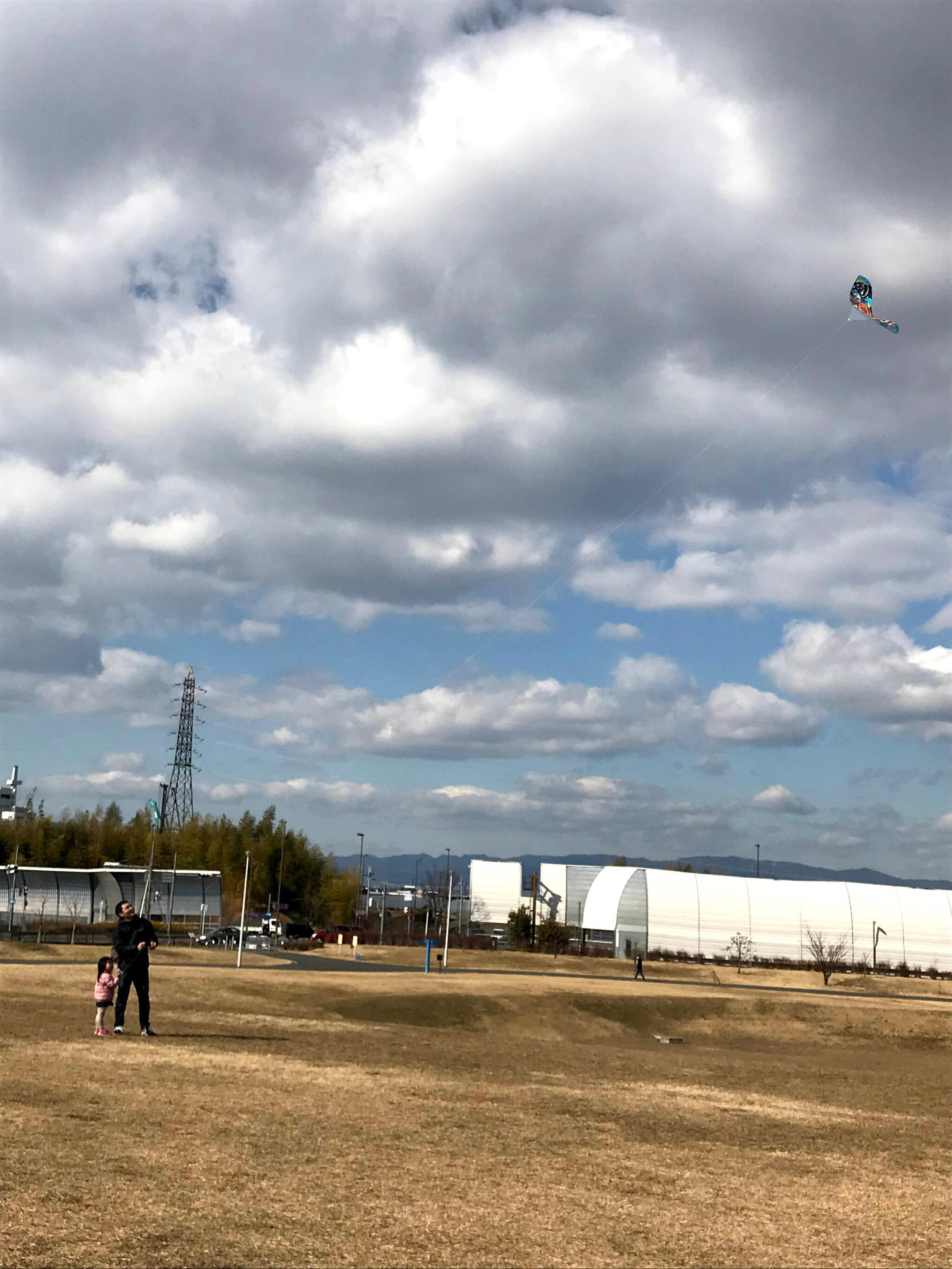 大阪府営 寝屋川公園の代表写真3