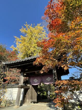 龍福寺のクチコミ写真1