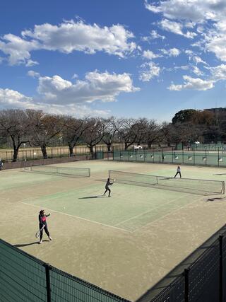 クチコミ : 駒沢オリンピック公園総合運動場テニスコート - 世田谷区駒沢公園/テニスコート | Yahoo!マップ