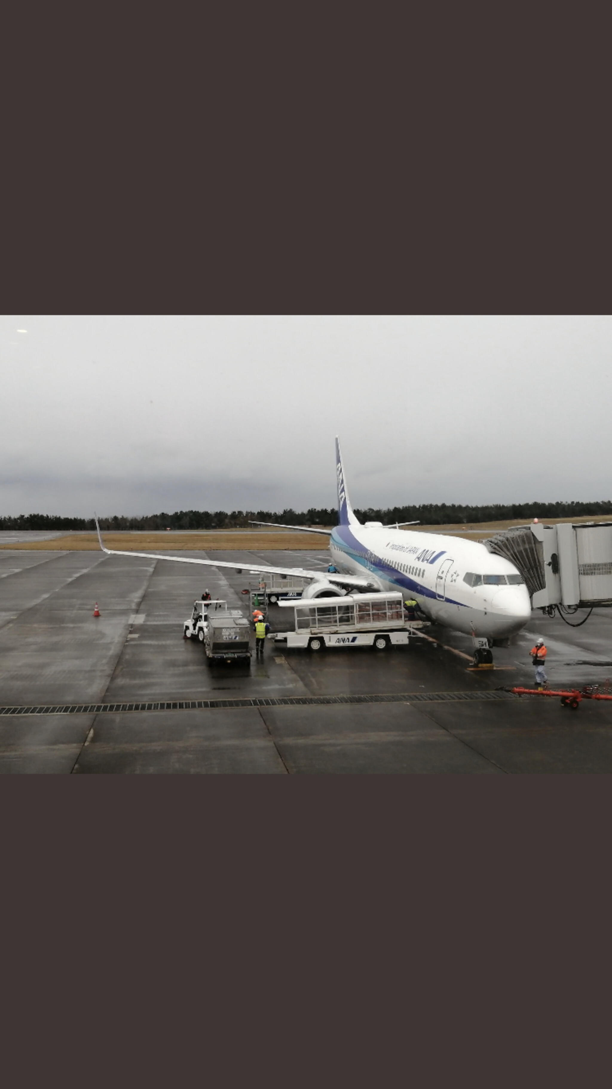 鳥取空港の代表写真2
