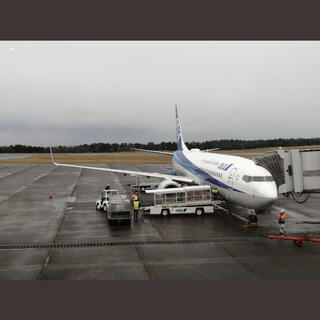 鳥取空港の写真2
