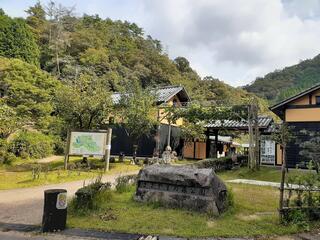 兵庫県立 ささやまの森公園のクチコミ写真1