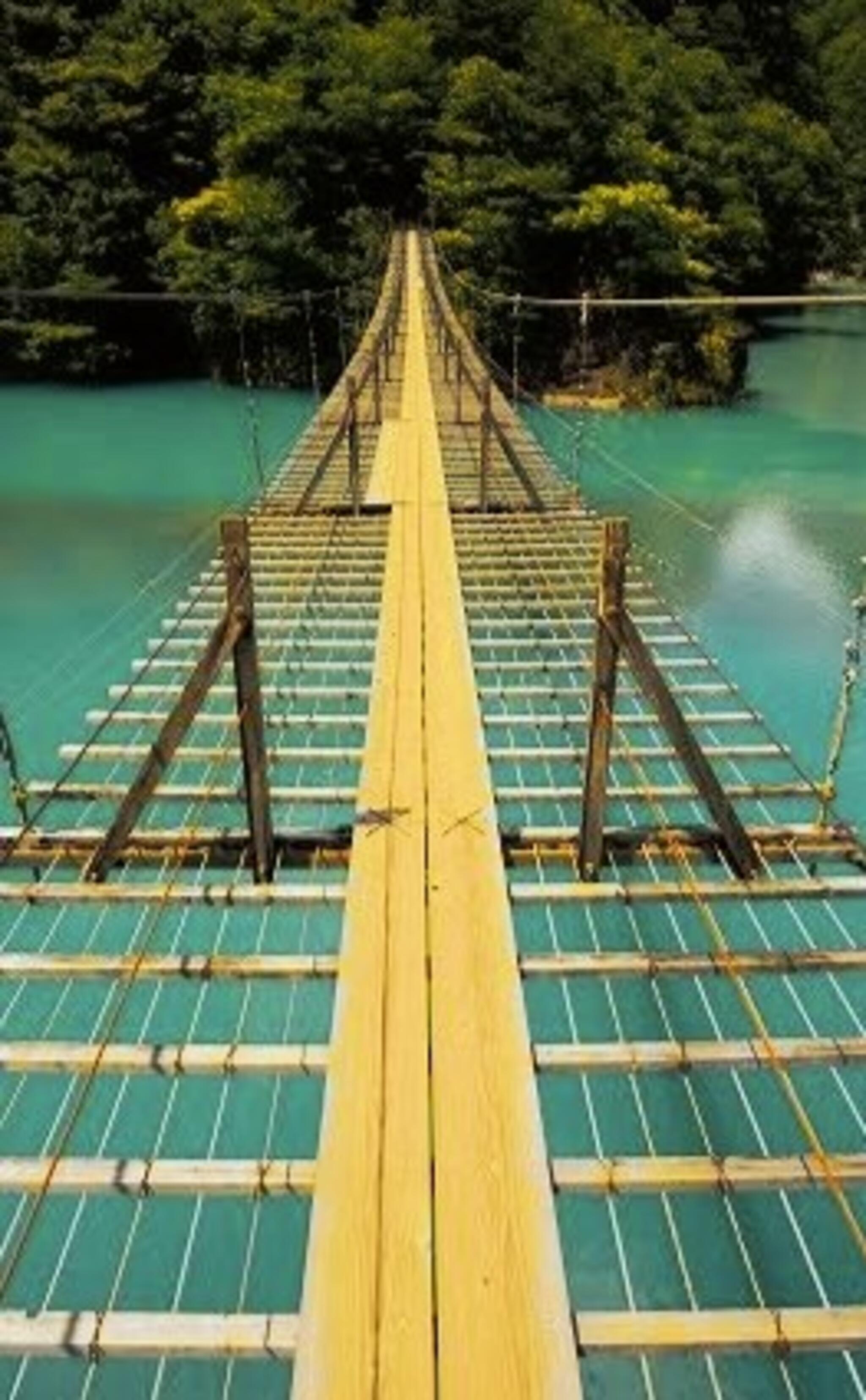 夢のつり橋の代表写真8