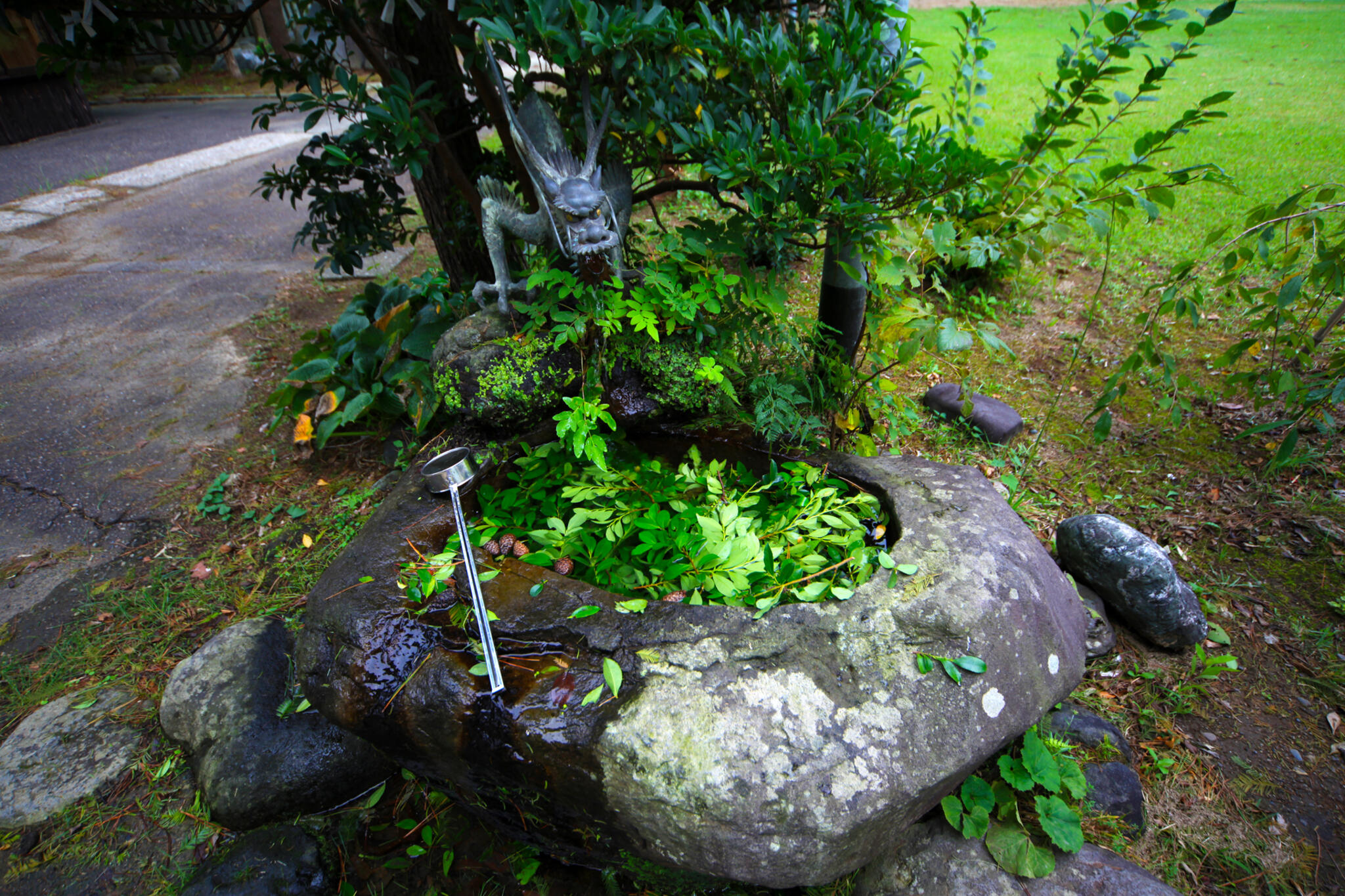居多神社の代表写真2