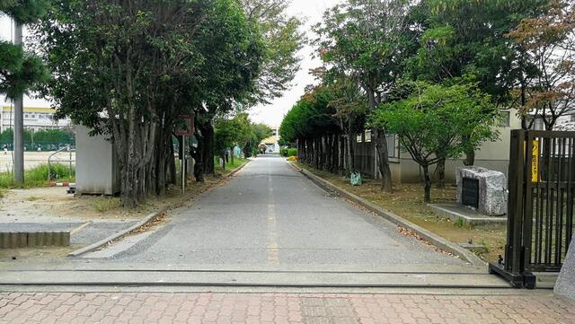 柏市立富勢中学校 柏市根戸/中学校 Yahoo!マップ