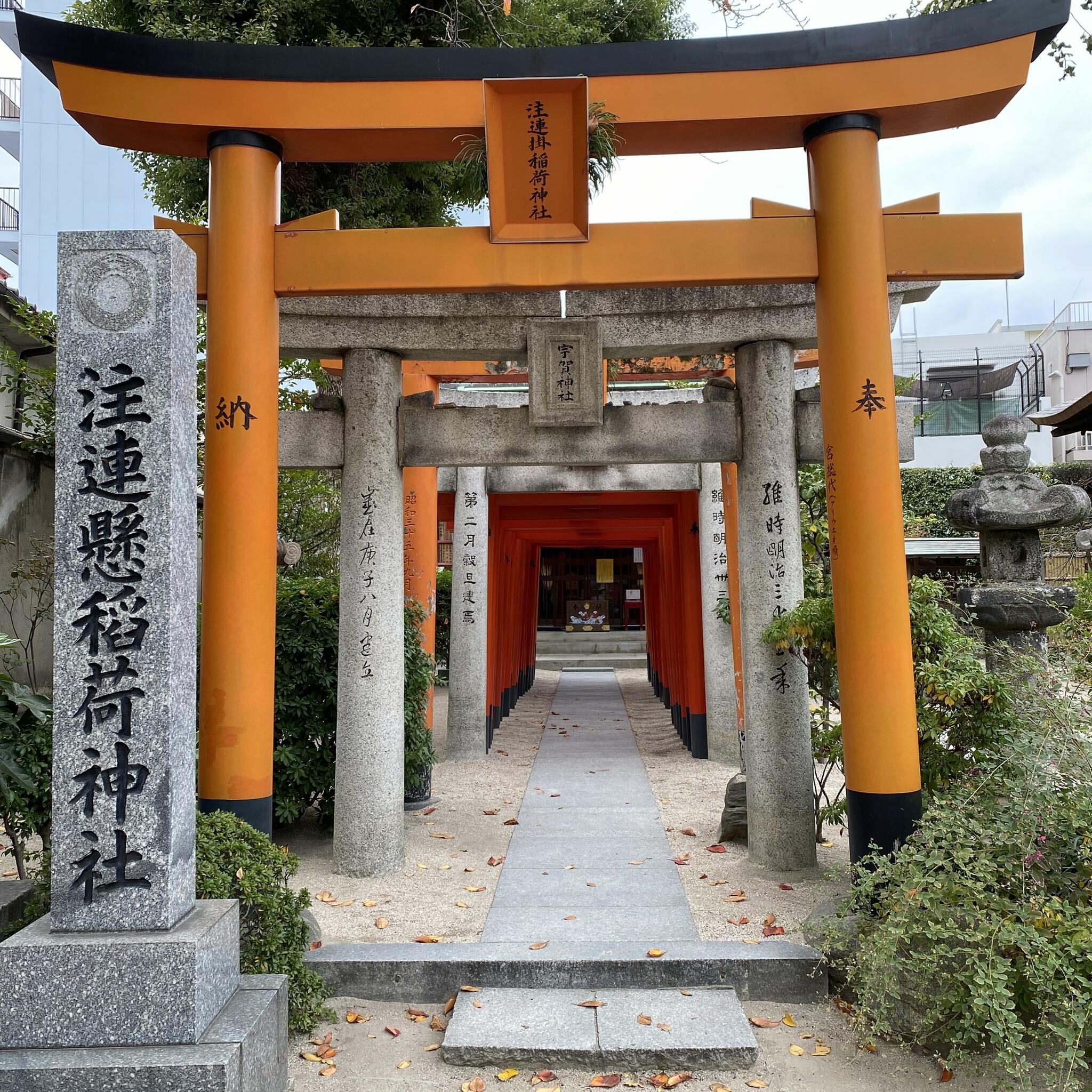 復刻 福岡県神社誌 上中下-