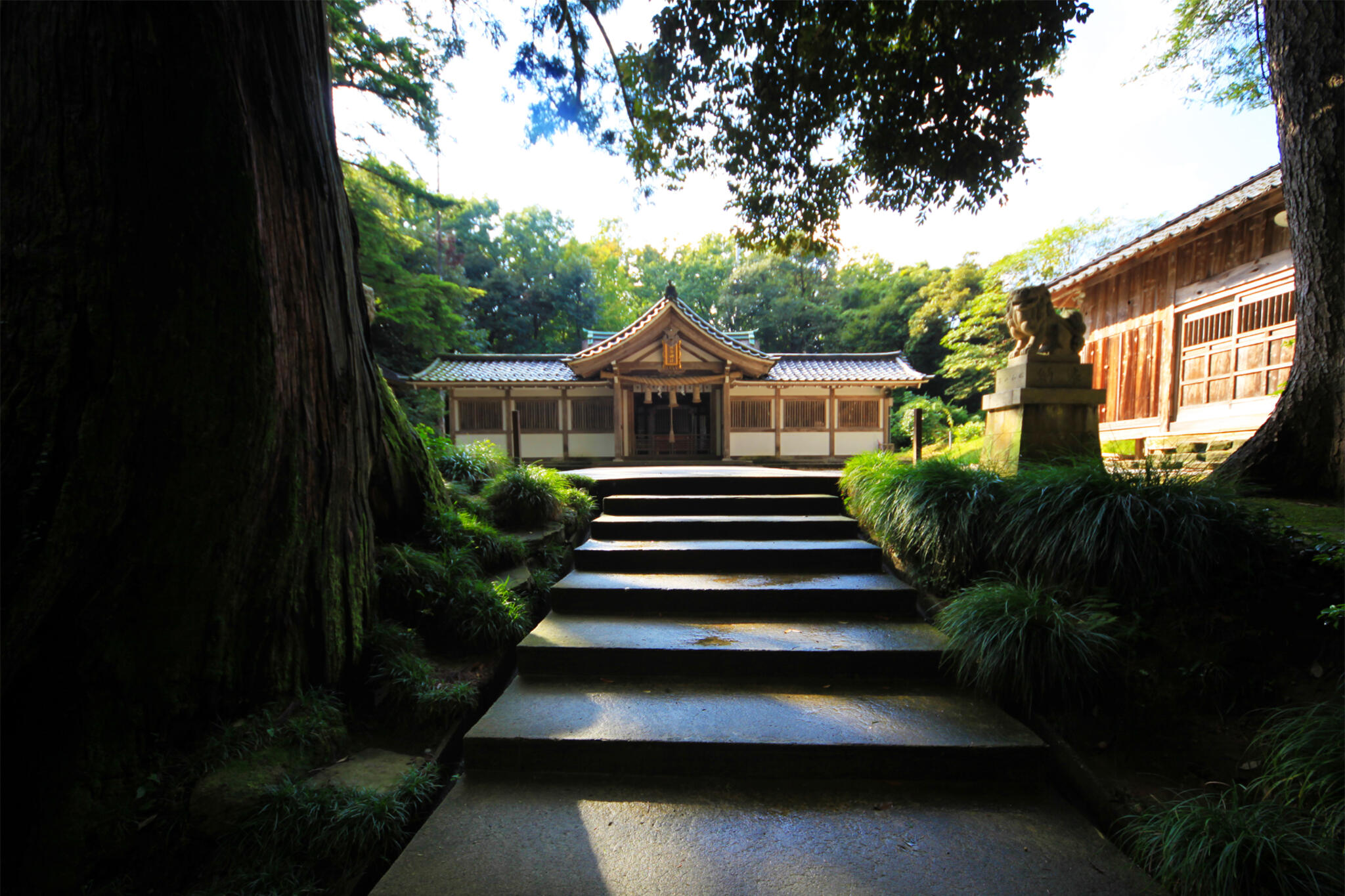 気多神社の代表写真1