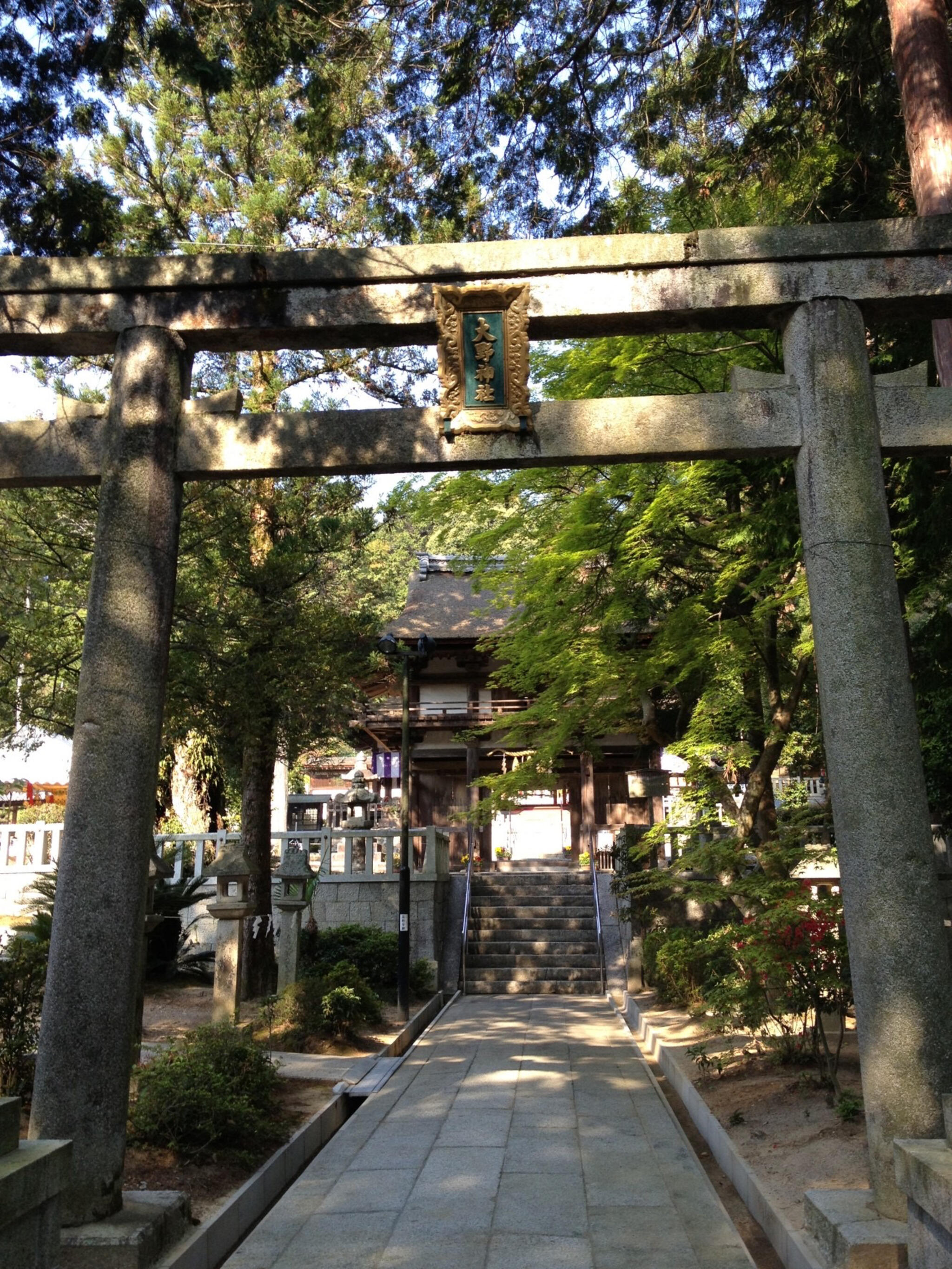 大野神社の代表写真5