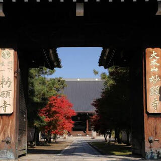 妙顕寺の写真6