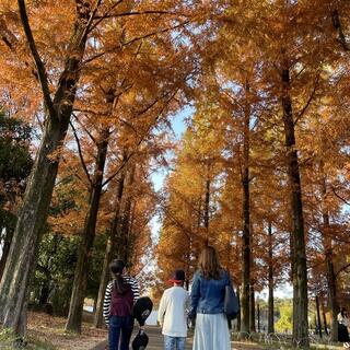 花博記念公園鶴見緑地の写真8