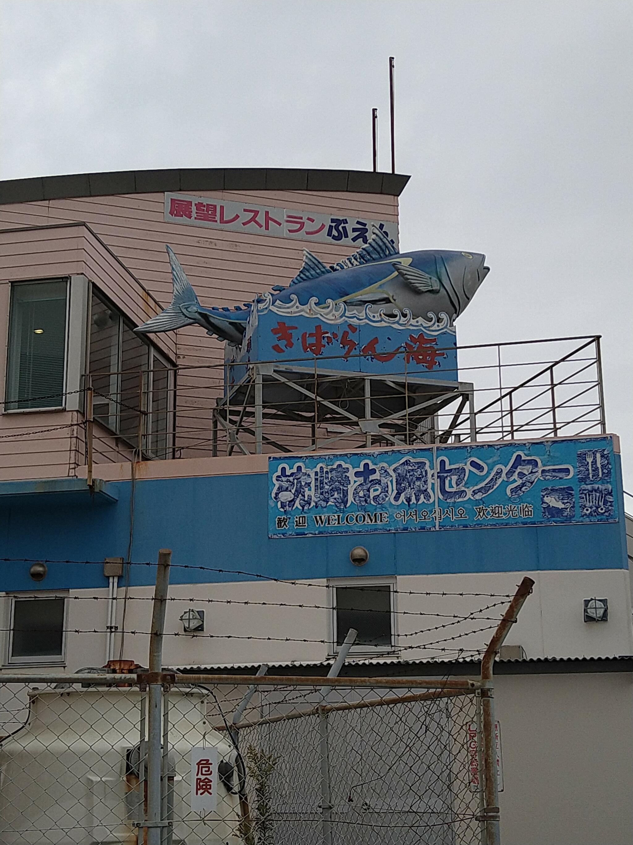 枕崎お魚センターの代表写真7