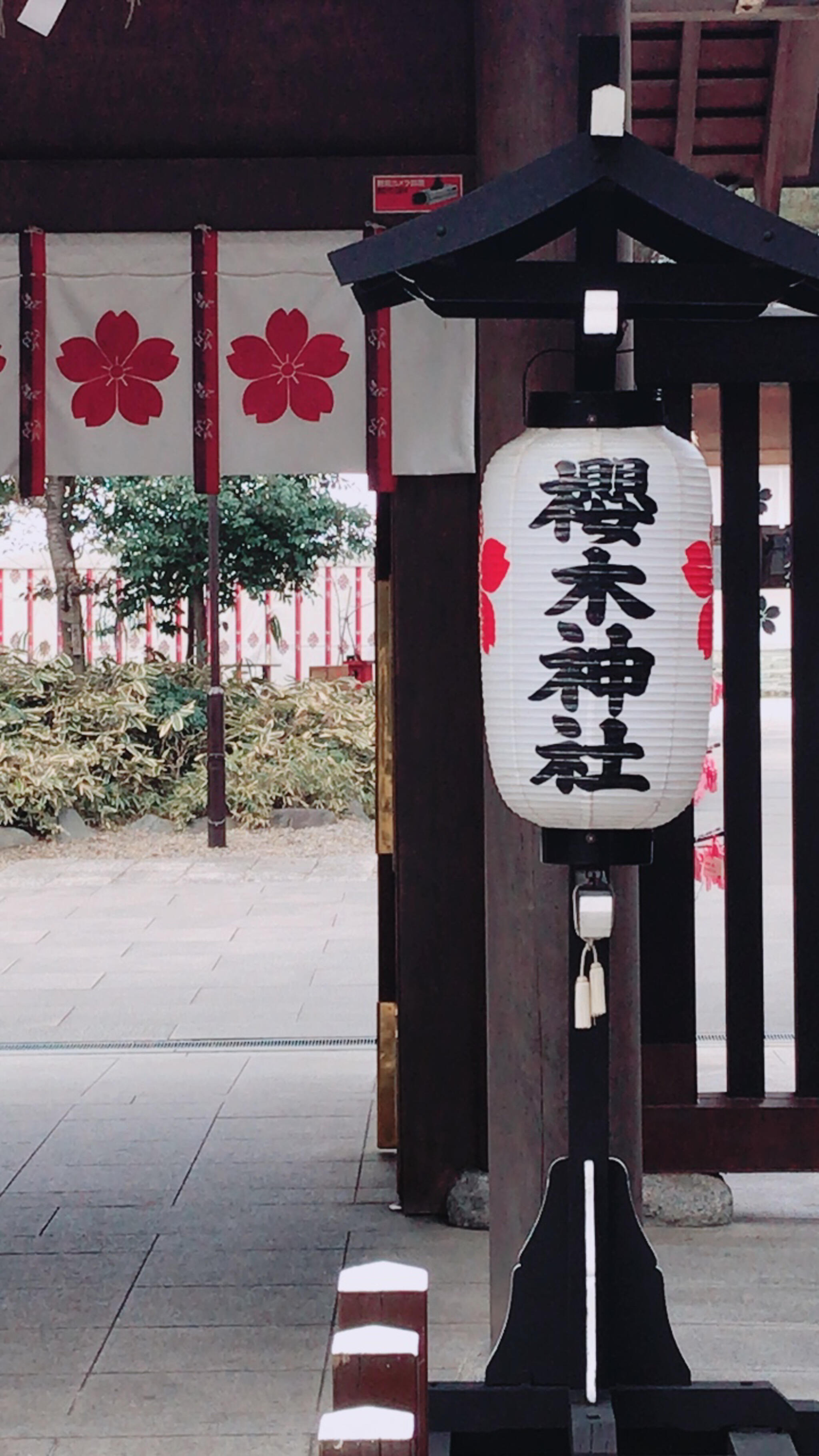 櫻木神社の代表写真8