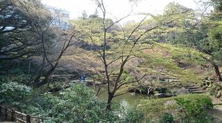 池田山公園のクチコミ写真1