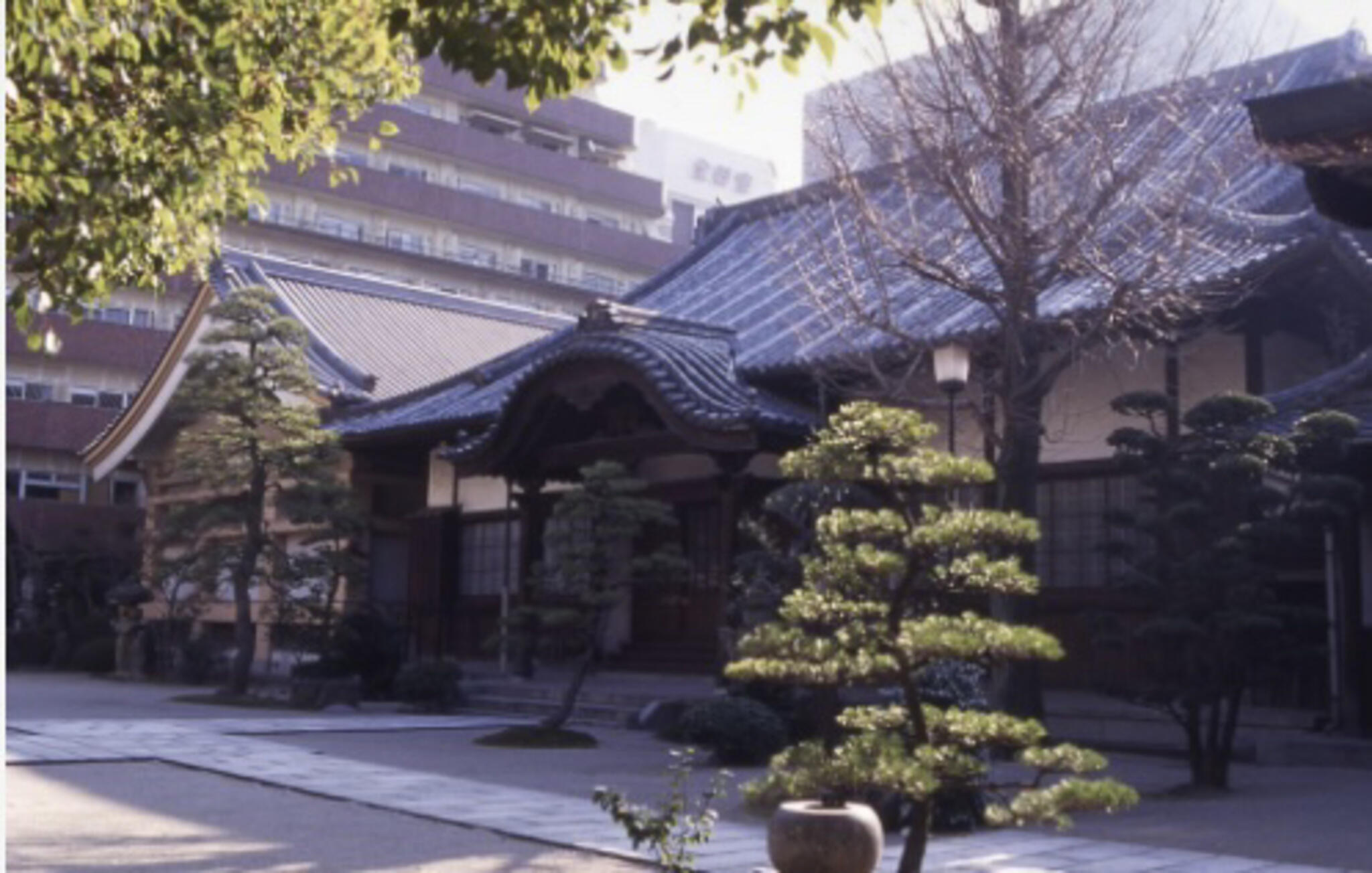 東林寺の代表写真2