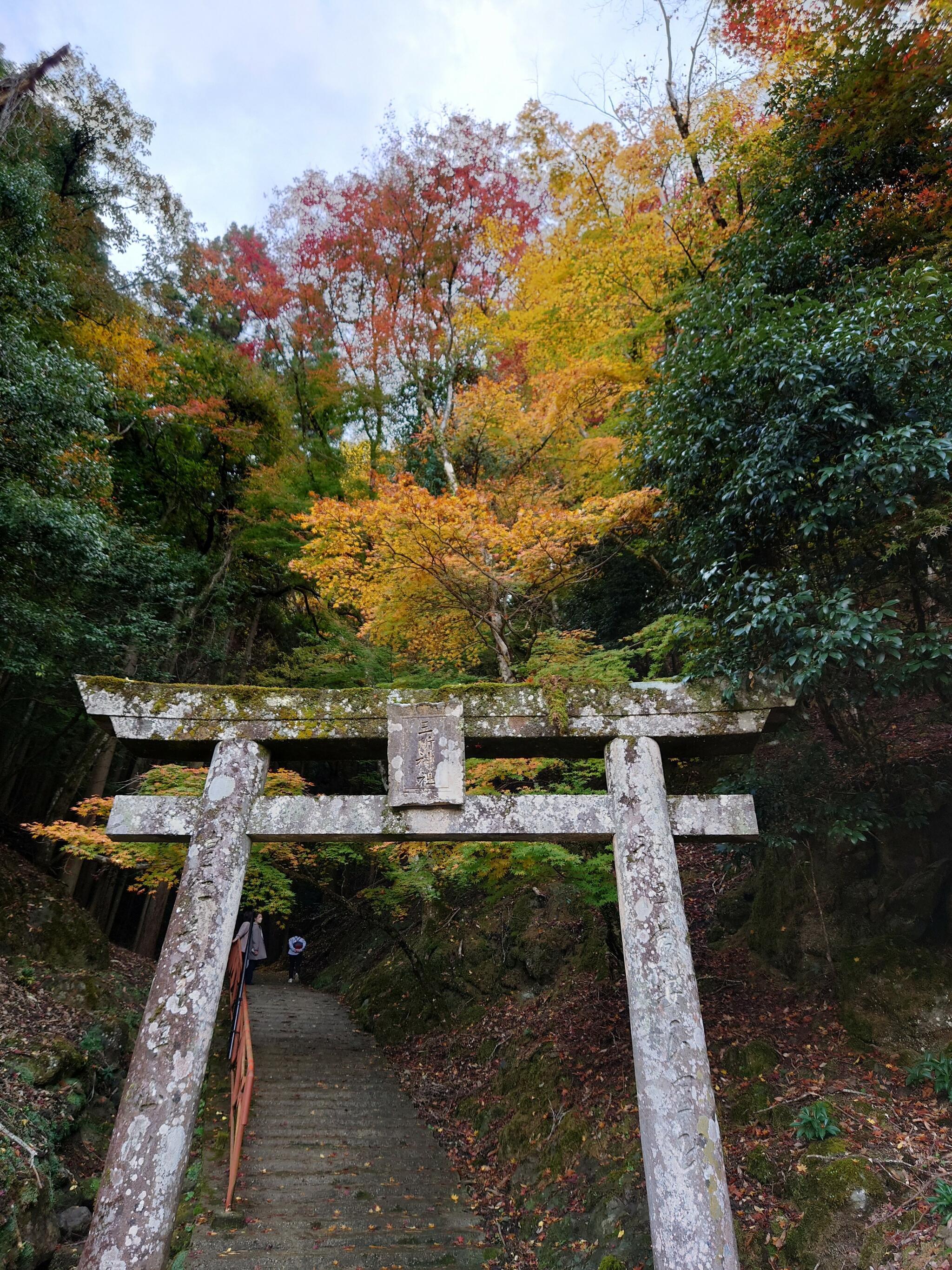 御霊神社の代表写真2