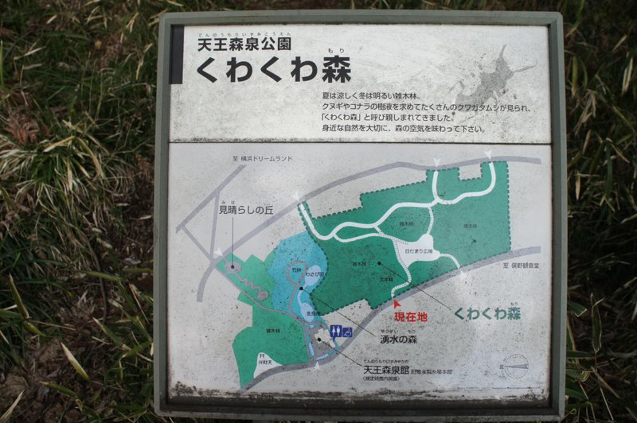 天王森泉公園の代表写真10