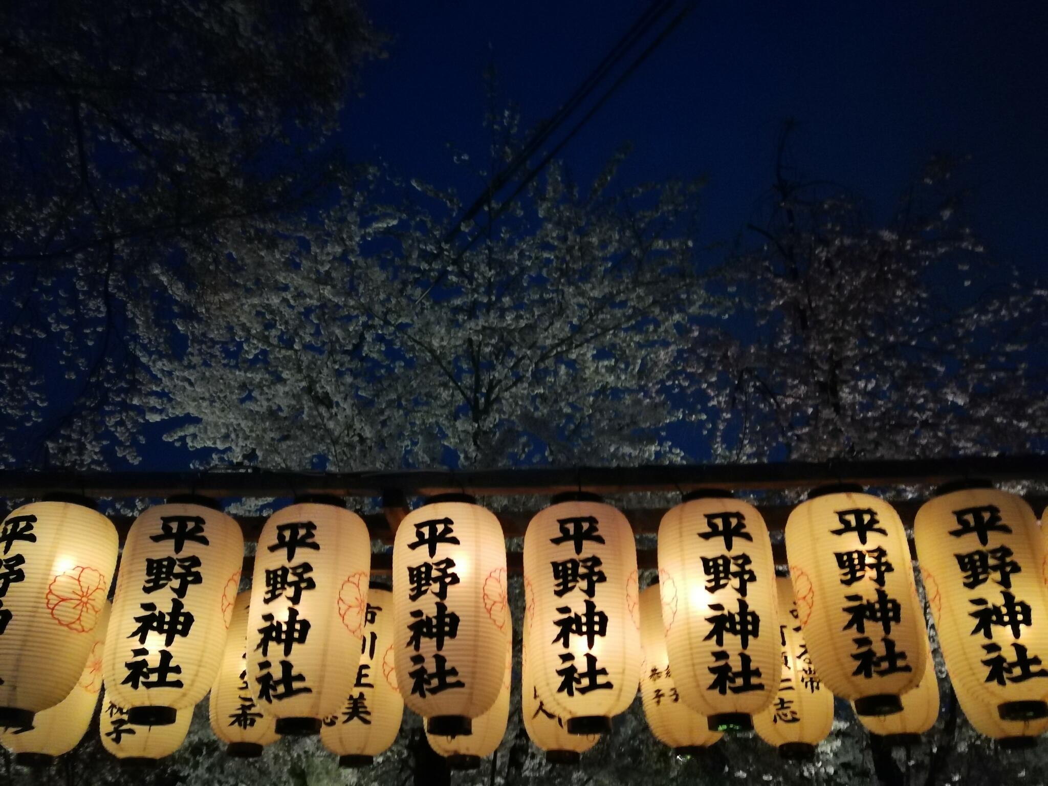 平野神社の代表写真6