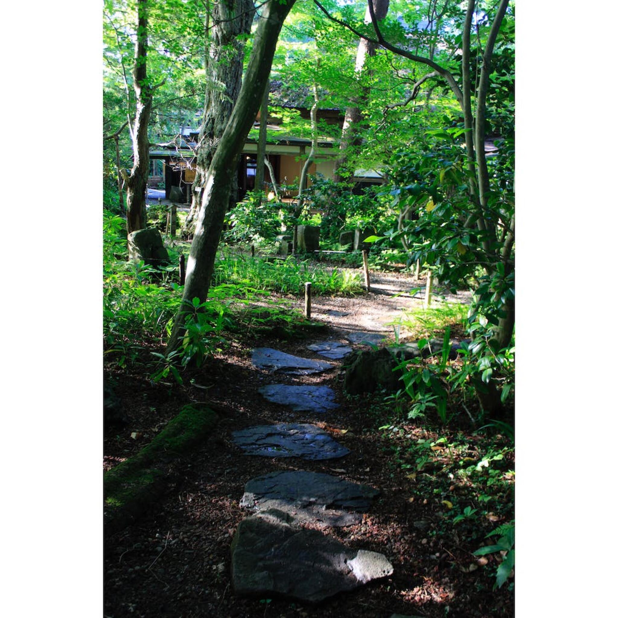 角館歴史村青柳家の代表写真10