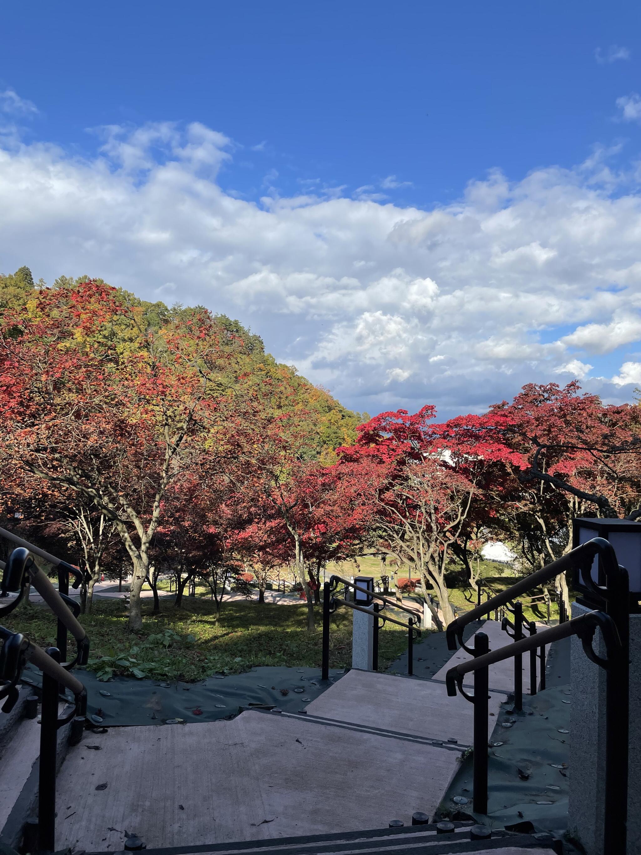 天童公園(舞鶴山)の代表写真3