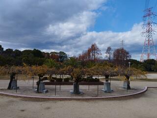 阪今池公園のクチコミ写真3