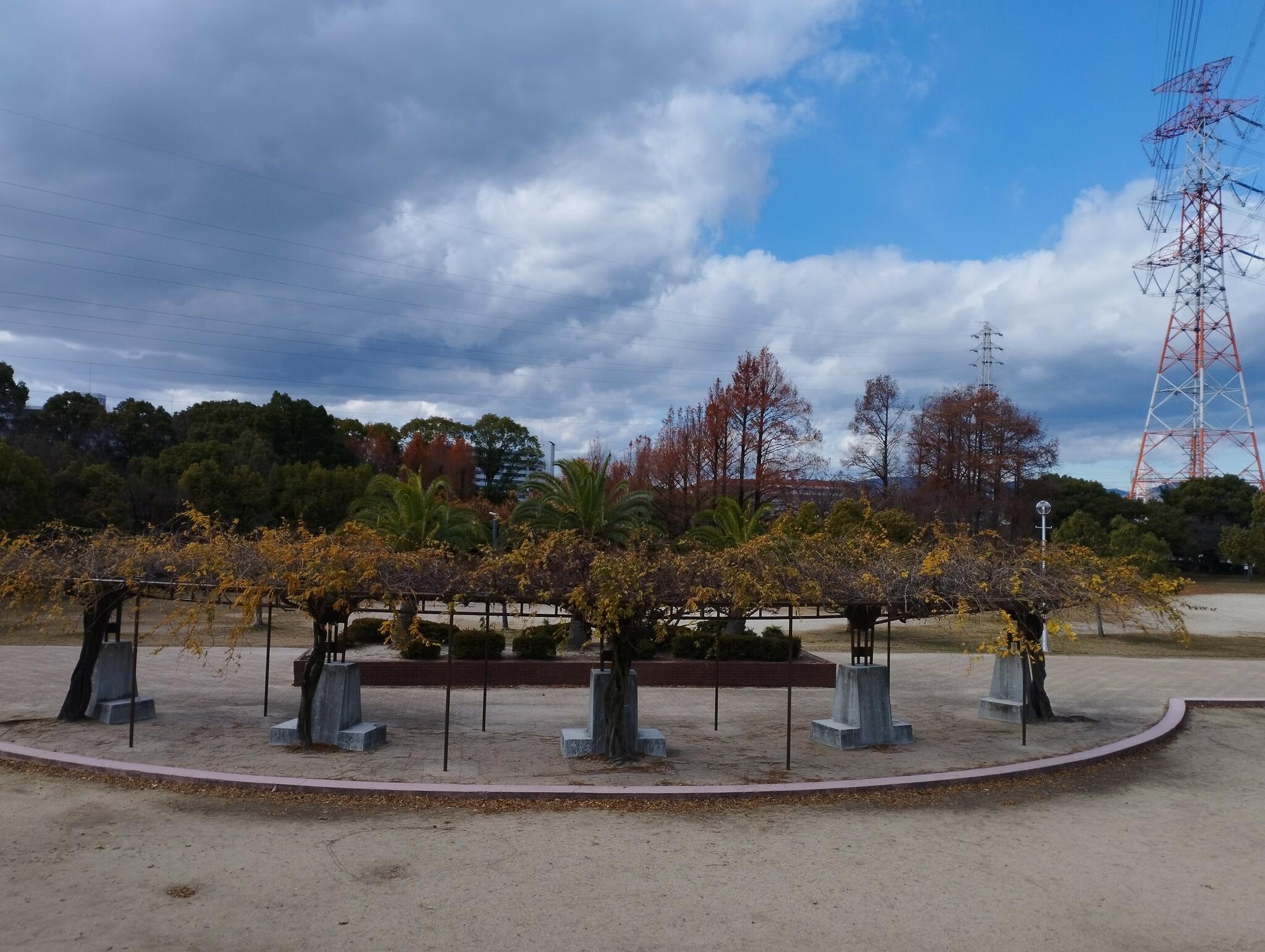 阪今池公園の代表写真3