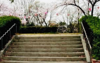 鶴山台志保池公園のクチコミ写真1