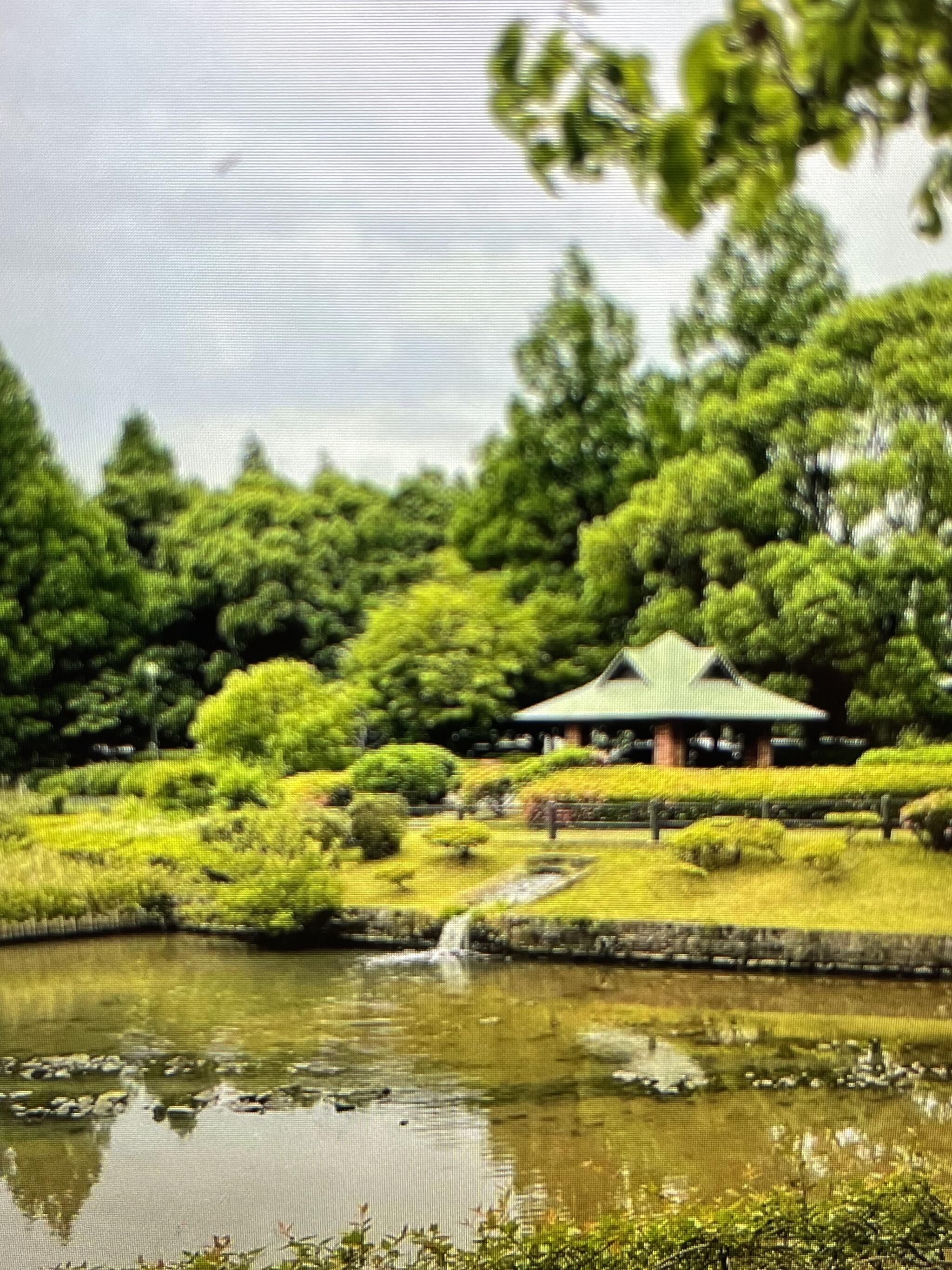 越谷総合公園の代表写真7