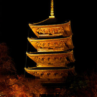 東寺の写真11