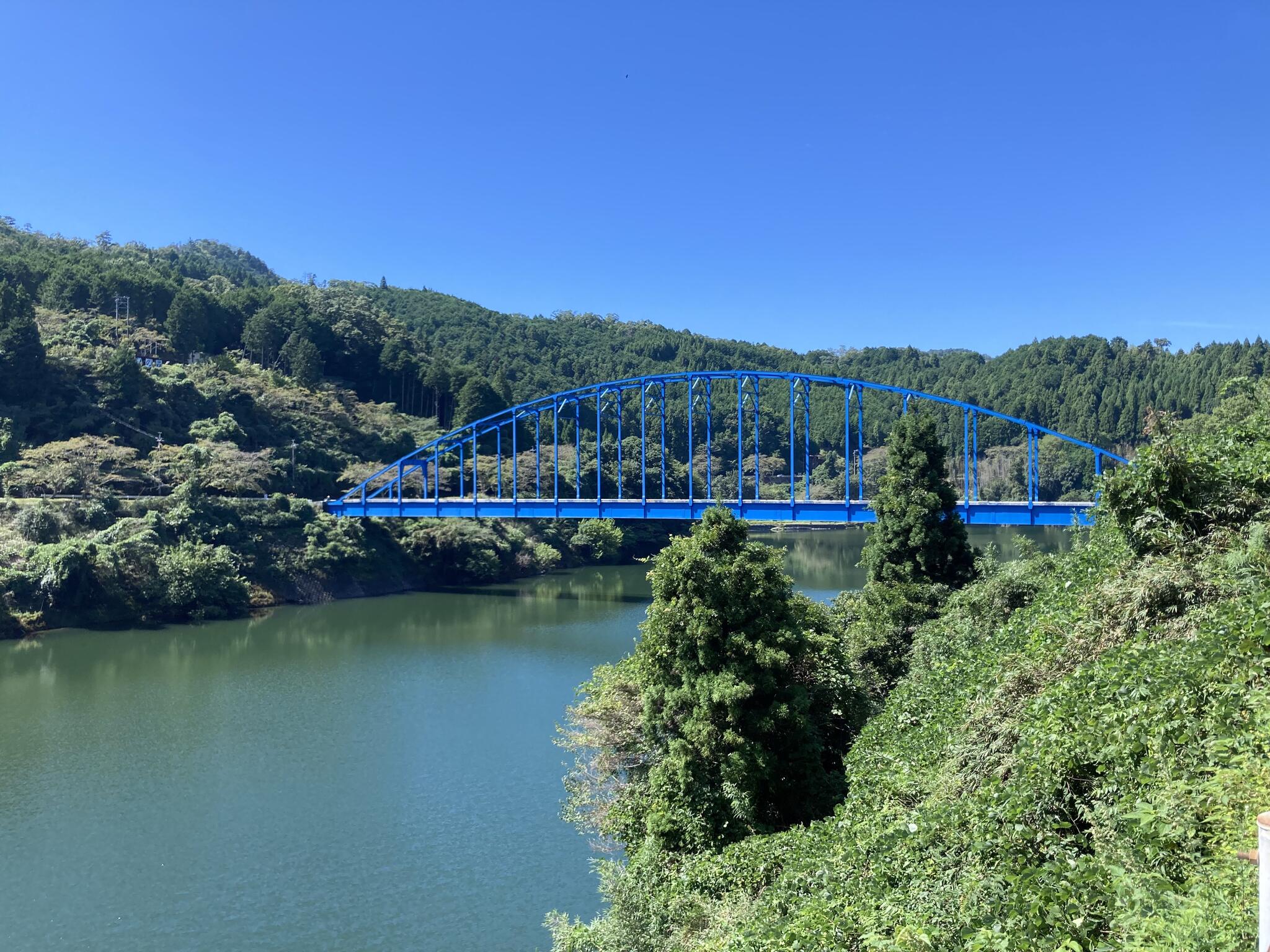 青蓮寺湖の代表写真8