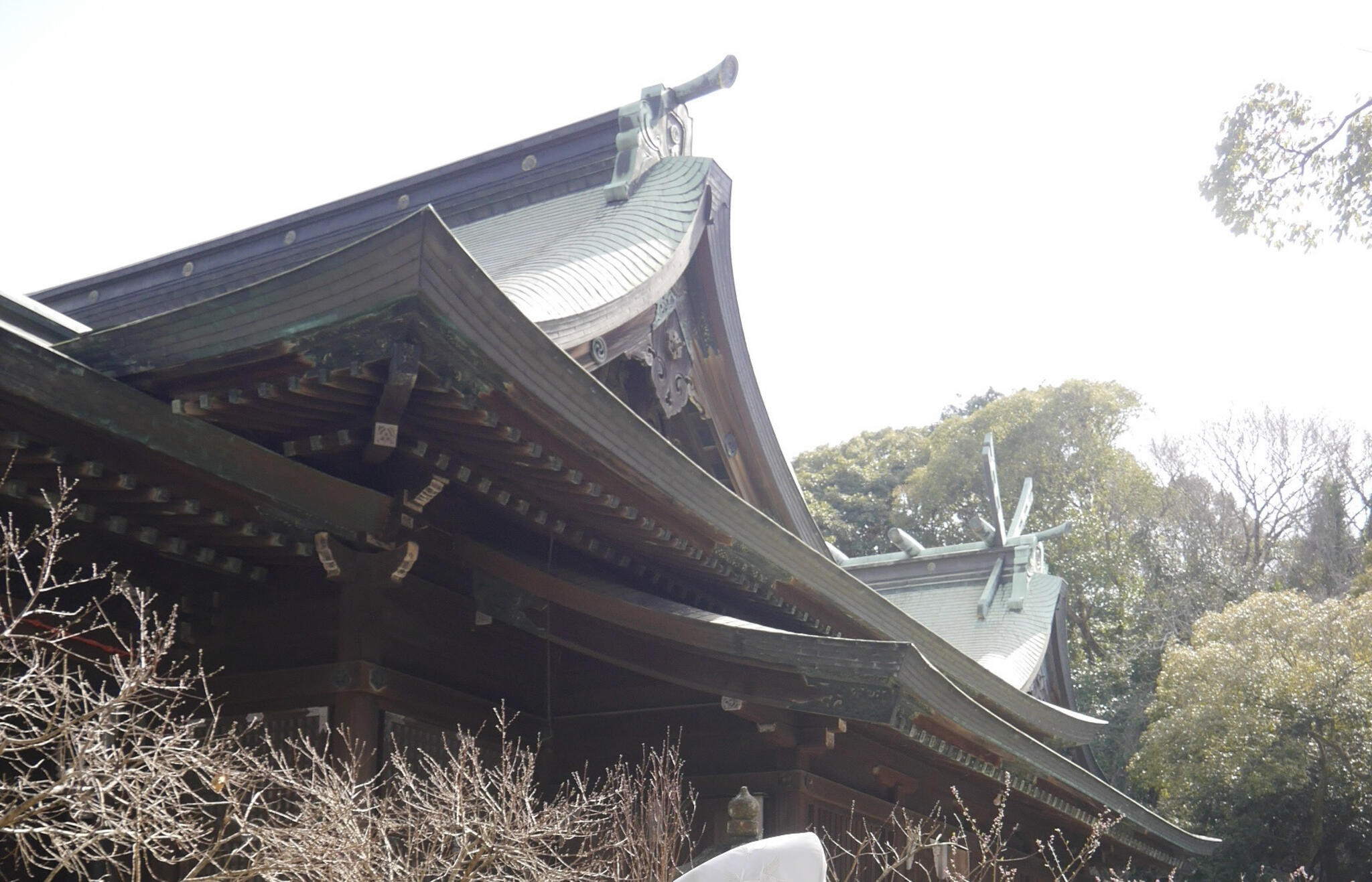 多賀神社の代表写真9