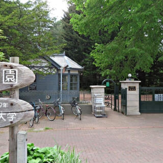 北海道大学植物園の写真29