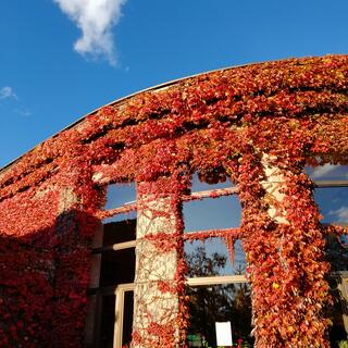 農試公園の写真3