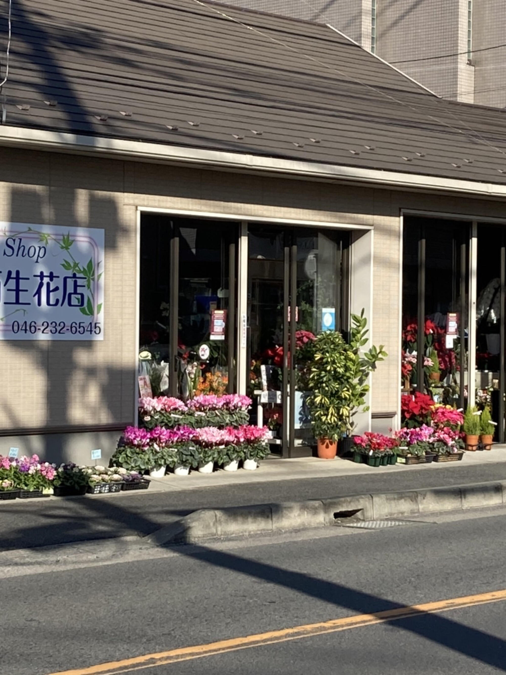大西生花店の代表写真3