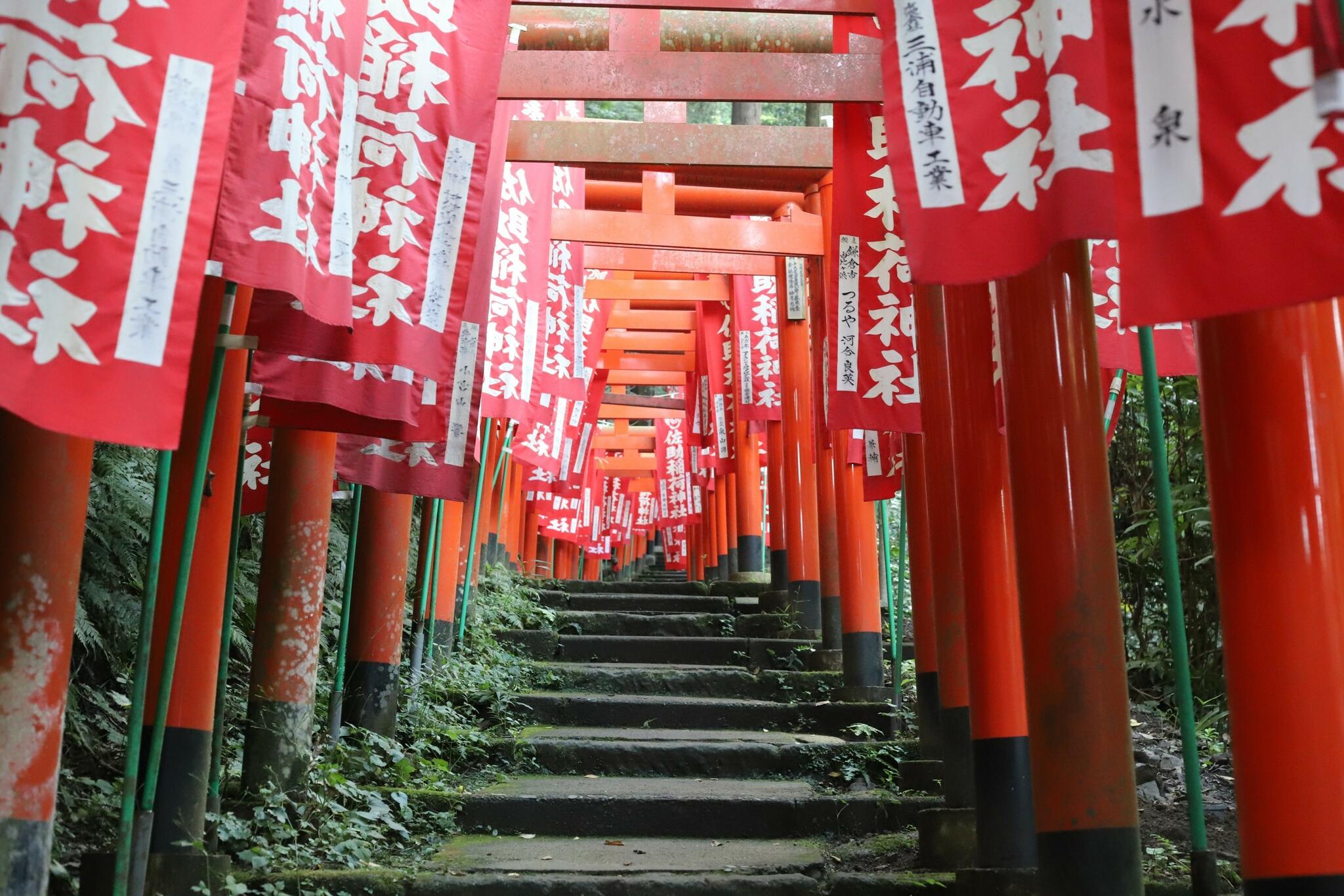 佐助稲荷神社の代表写真4