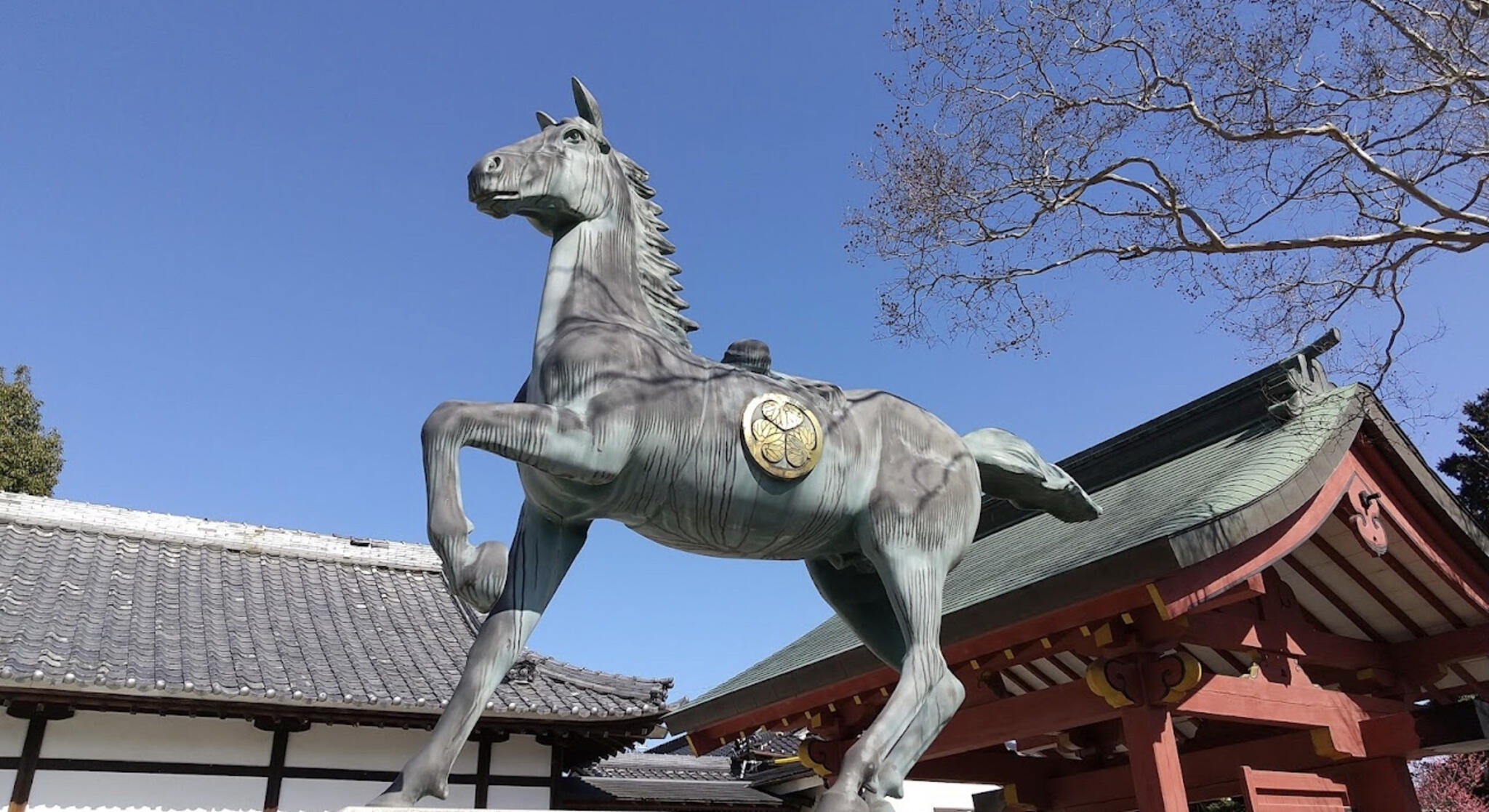 伊賀八幡宮の代表写真4