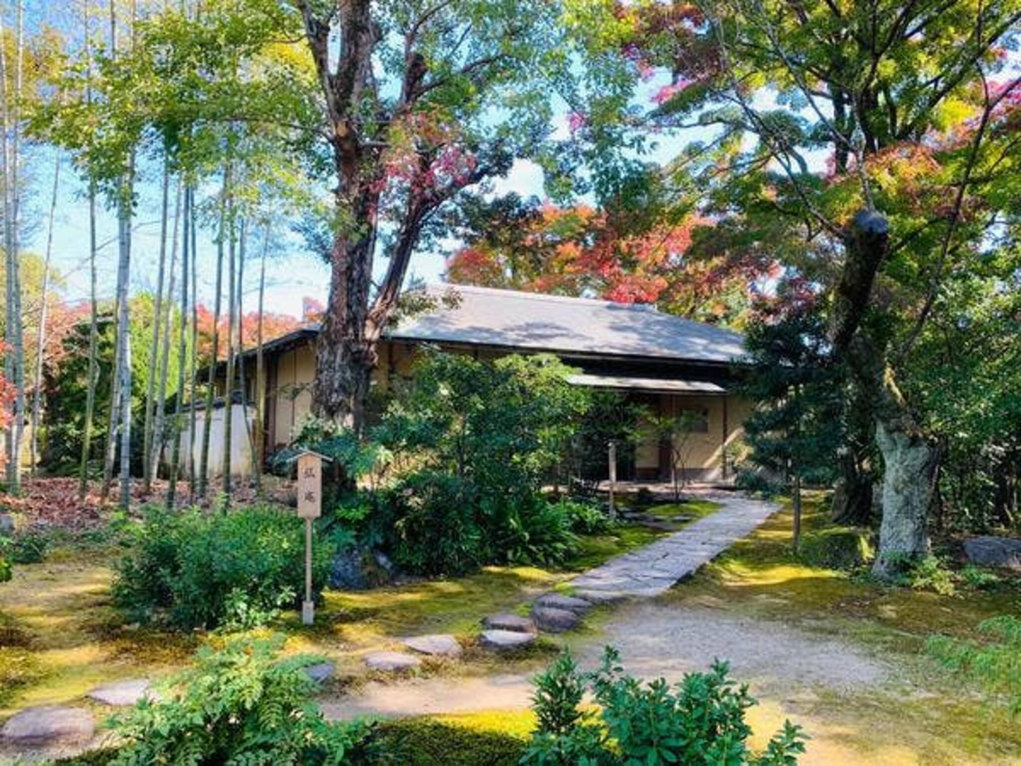 日本庭園 有楽苑 弘庵の代表写真2
