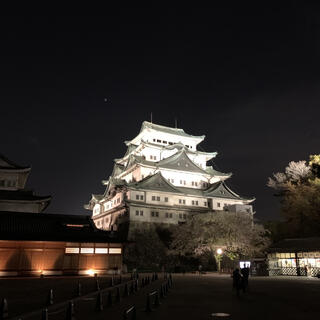 名古屋城の写真9