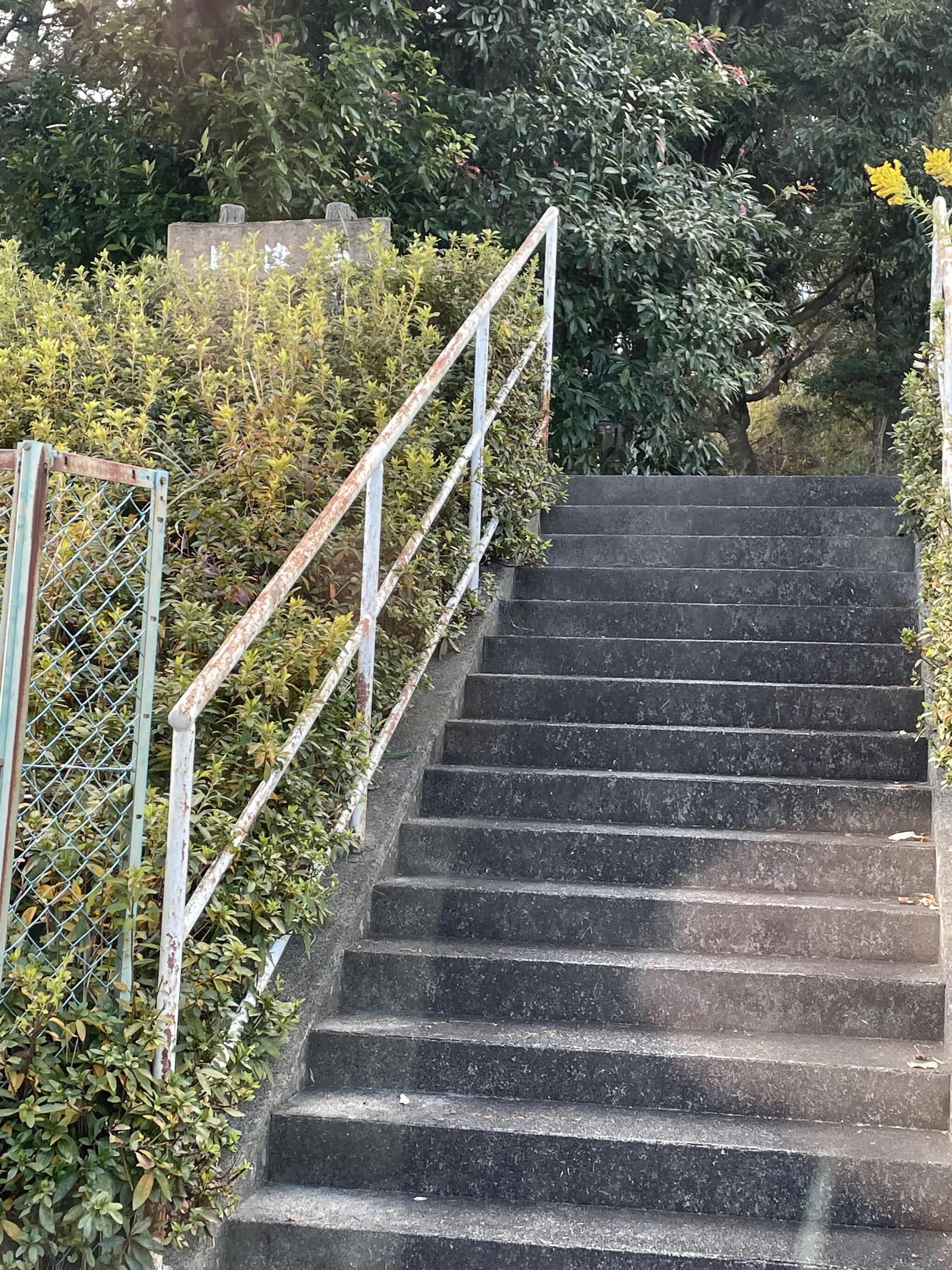 上津台西公園の代表写真1