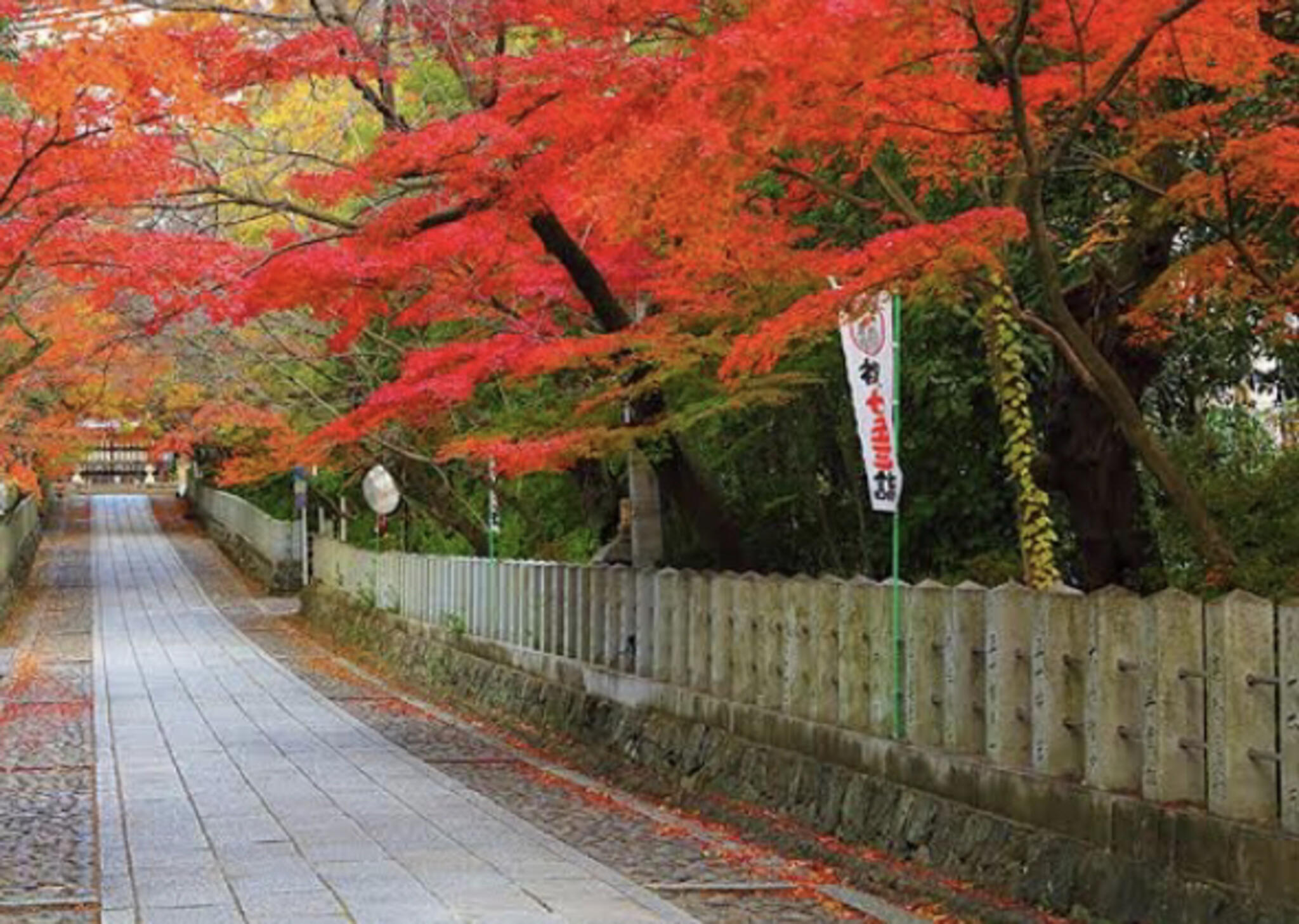 向日神社の代表写真6