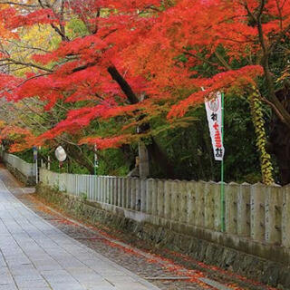 向日神社の写真6