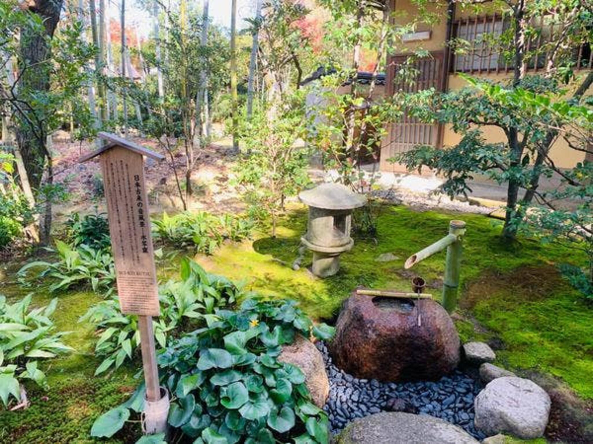 日本庭園 有楽苑 弘庵の代表写真9
