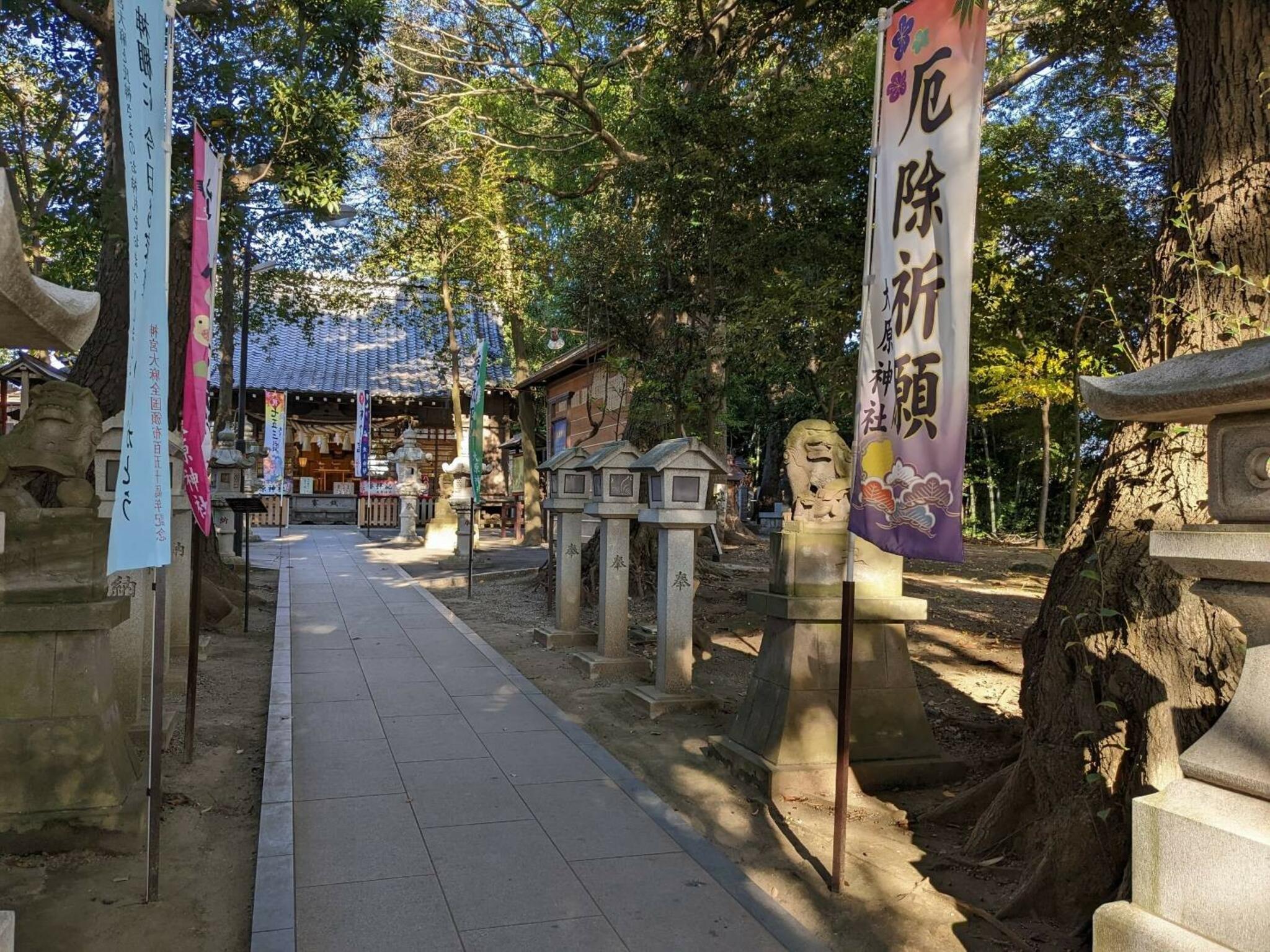 大原神社の代表写真10