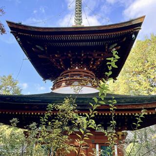 久米寺の写真4