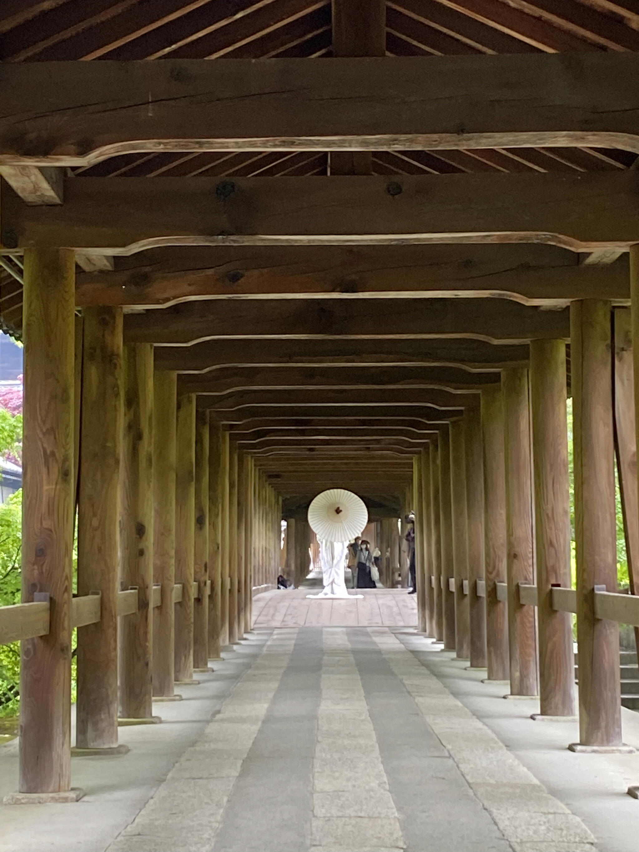 東福寺の代表写真1