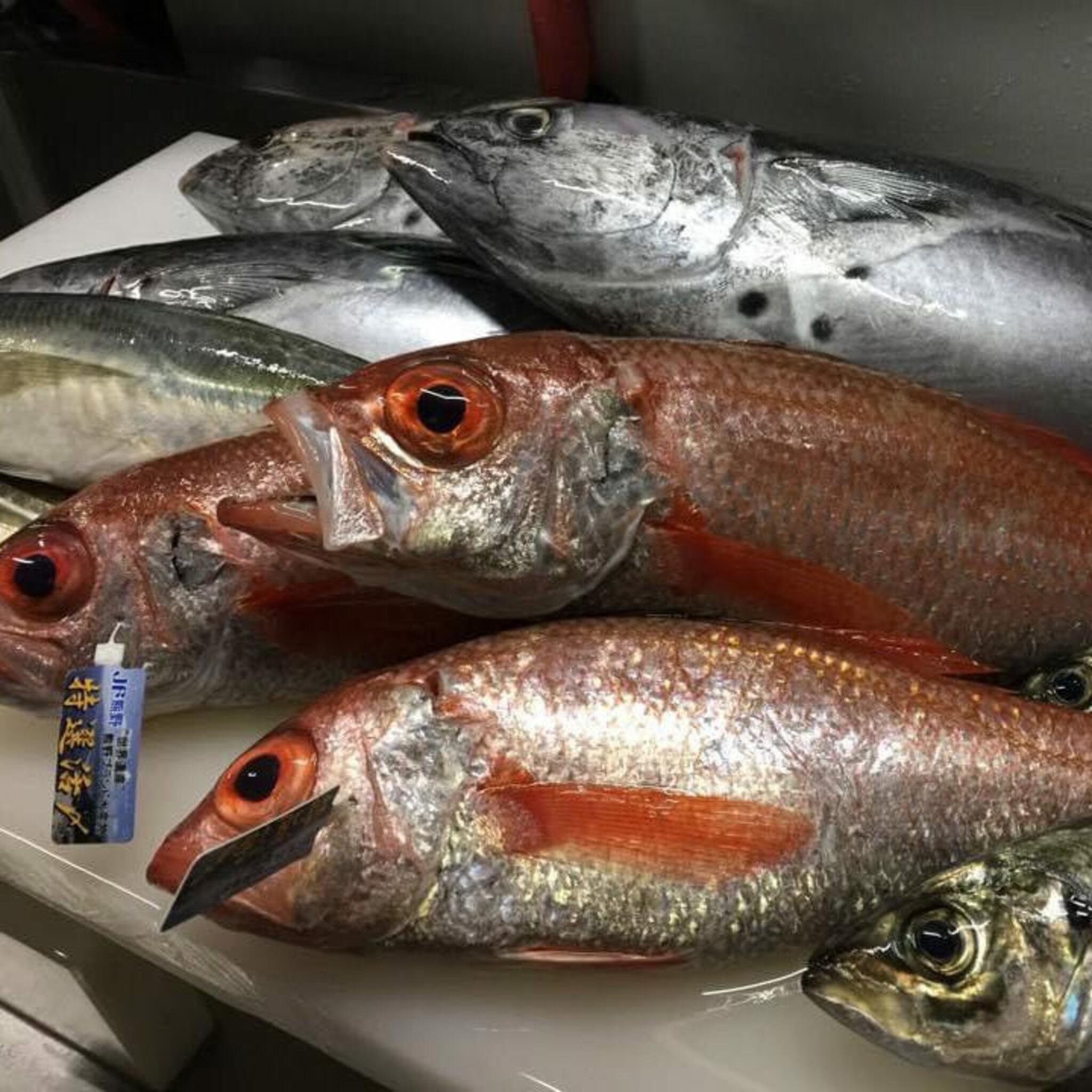 魚酒処 宵の月の代表写真6