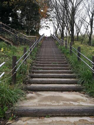 県立おだわら諏訪の原公園のクチコミ写真1